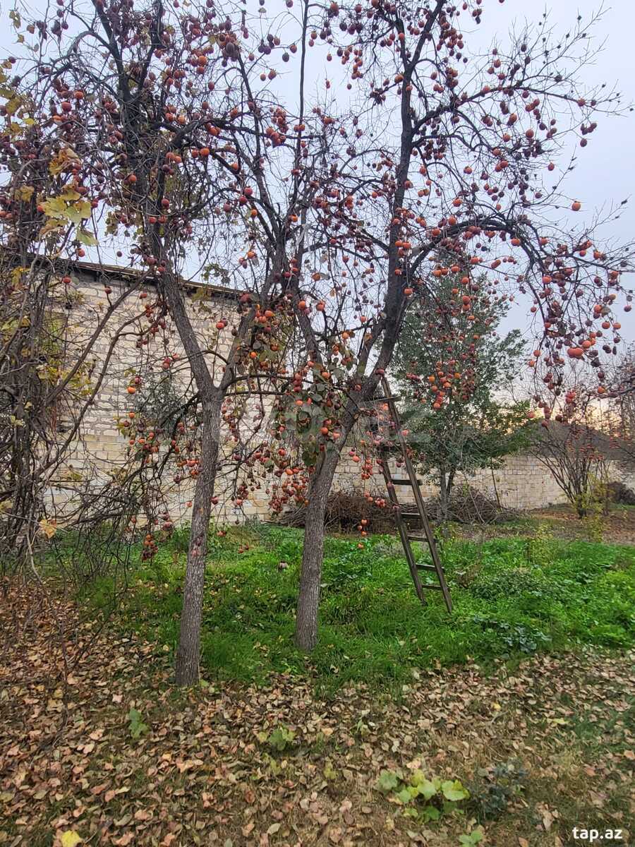 Həyət evi, Bərdə ş.
