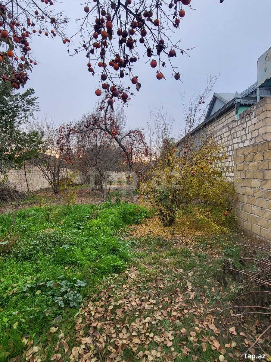 Həyət evi, Bərdə ş.