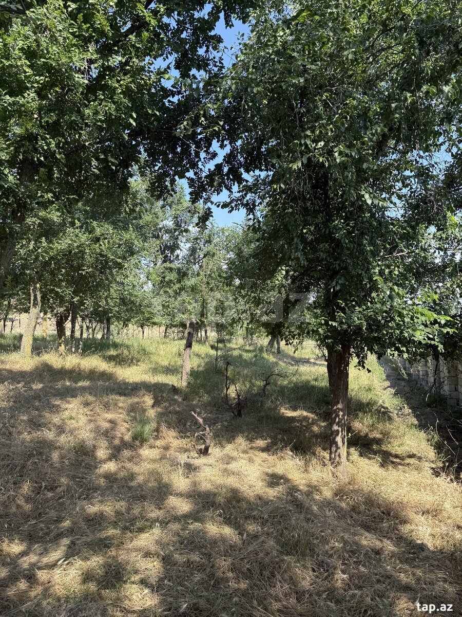57 sot torpaq sahəsi, Şabran r.
