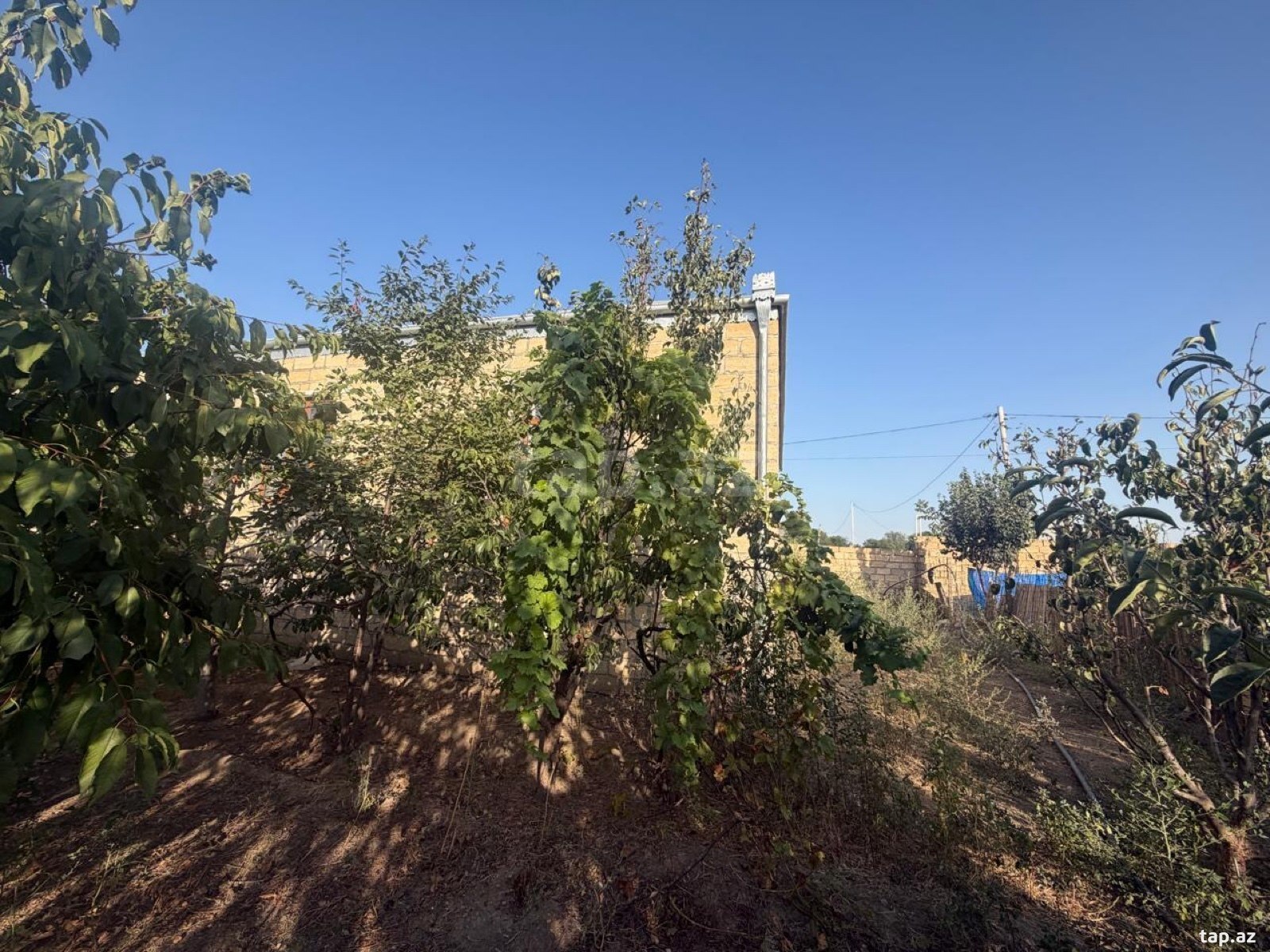 Həyət evi, Samux ş.