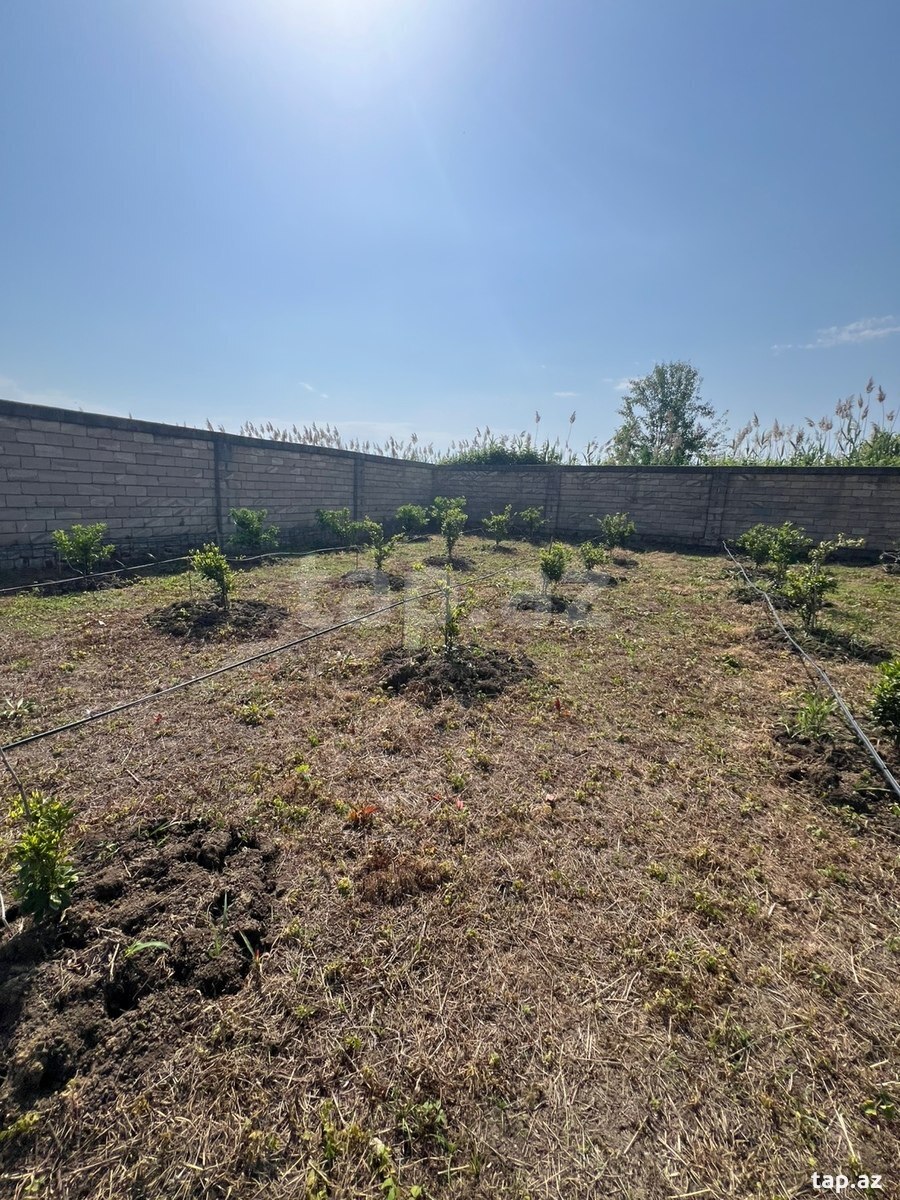 6 sot torpaq sahəsi, Lənkəran r.