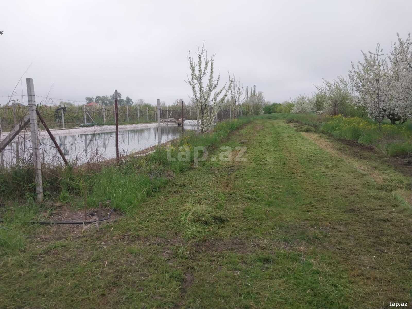 220 sot torpaq sahəsi, Xaçmaz r.