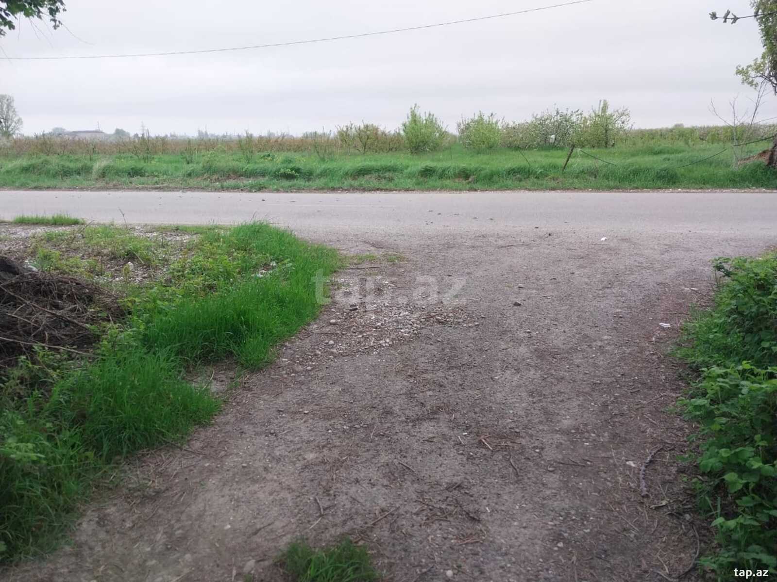 220 sot torpaq sahəsi, Xaçmaz r.