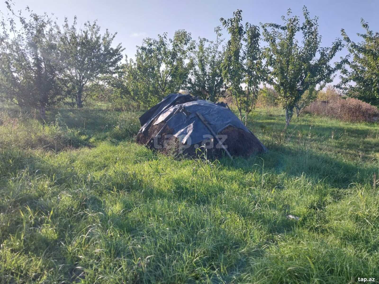 220 sot torpaq sahəsi, Xaçmaz r.