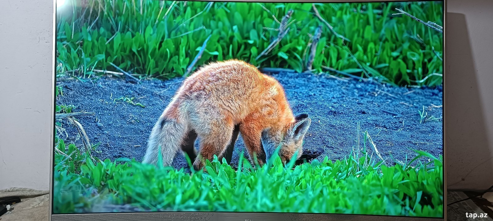 Televizor TCL