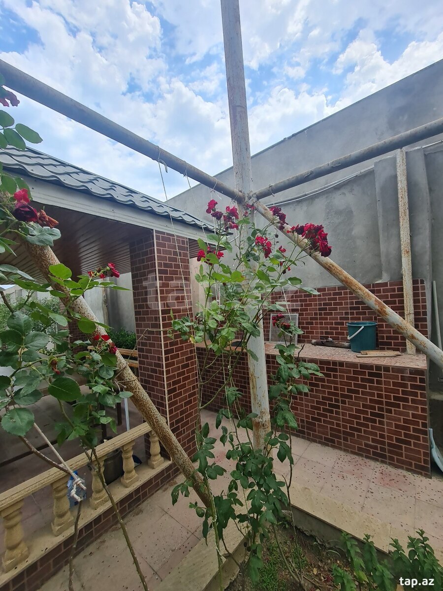 Bağ evi, Bilgəh qəs.