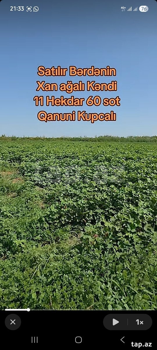 8.15 sot torpaq sahəsi, Bərdə r.