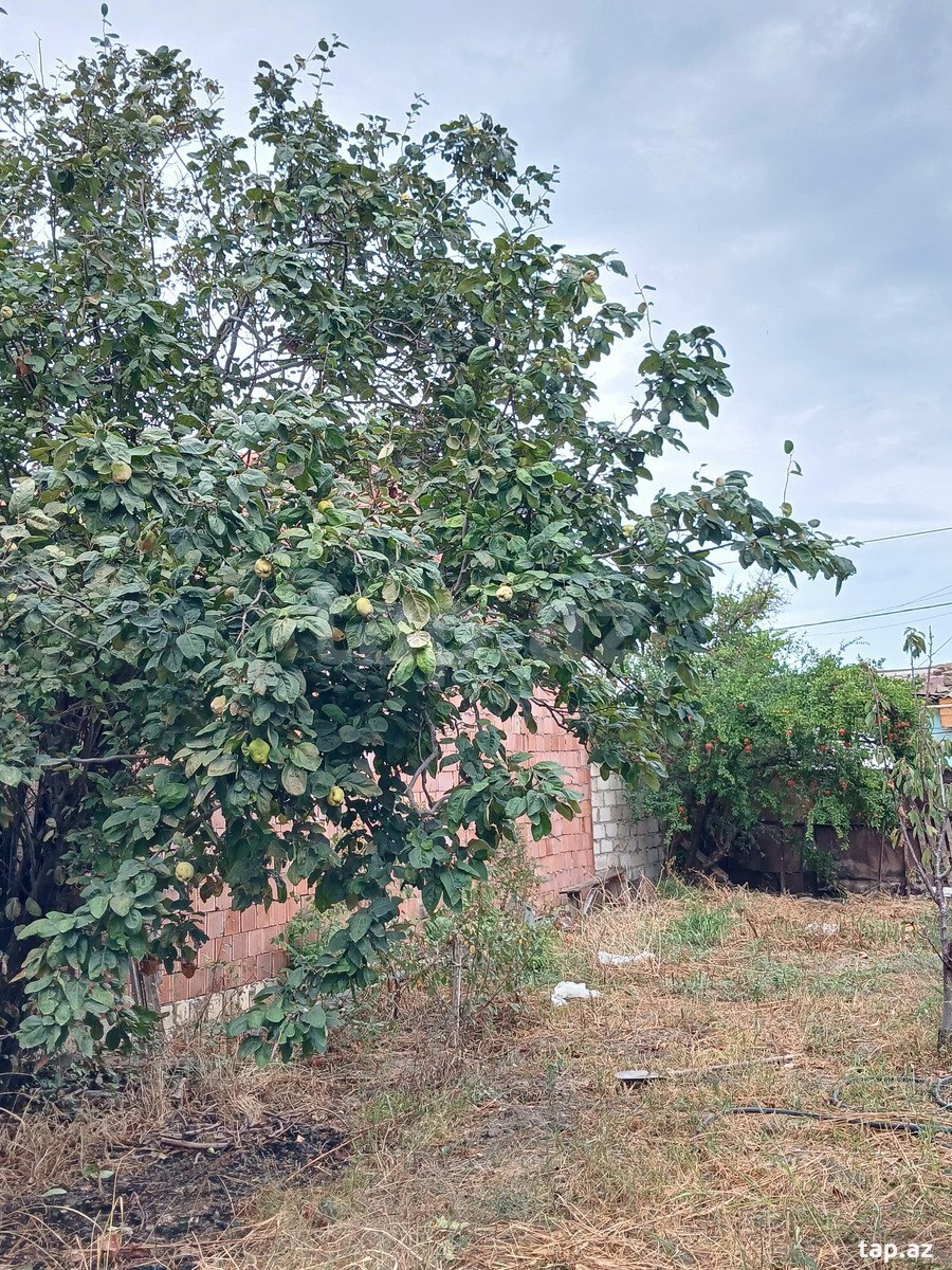 3 otaqlı həyət evi satılır, Sumqayıt