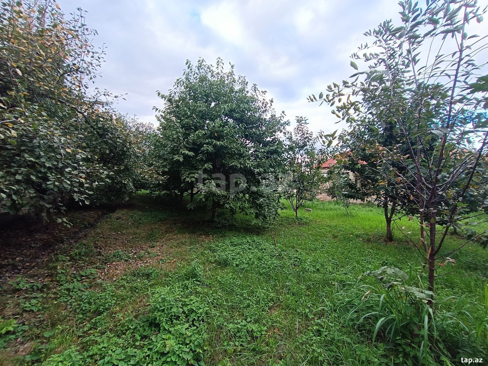 Həyət evi, Quba r.