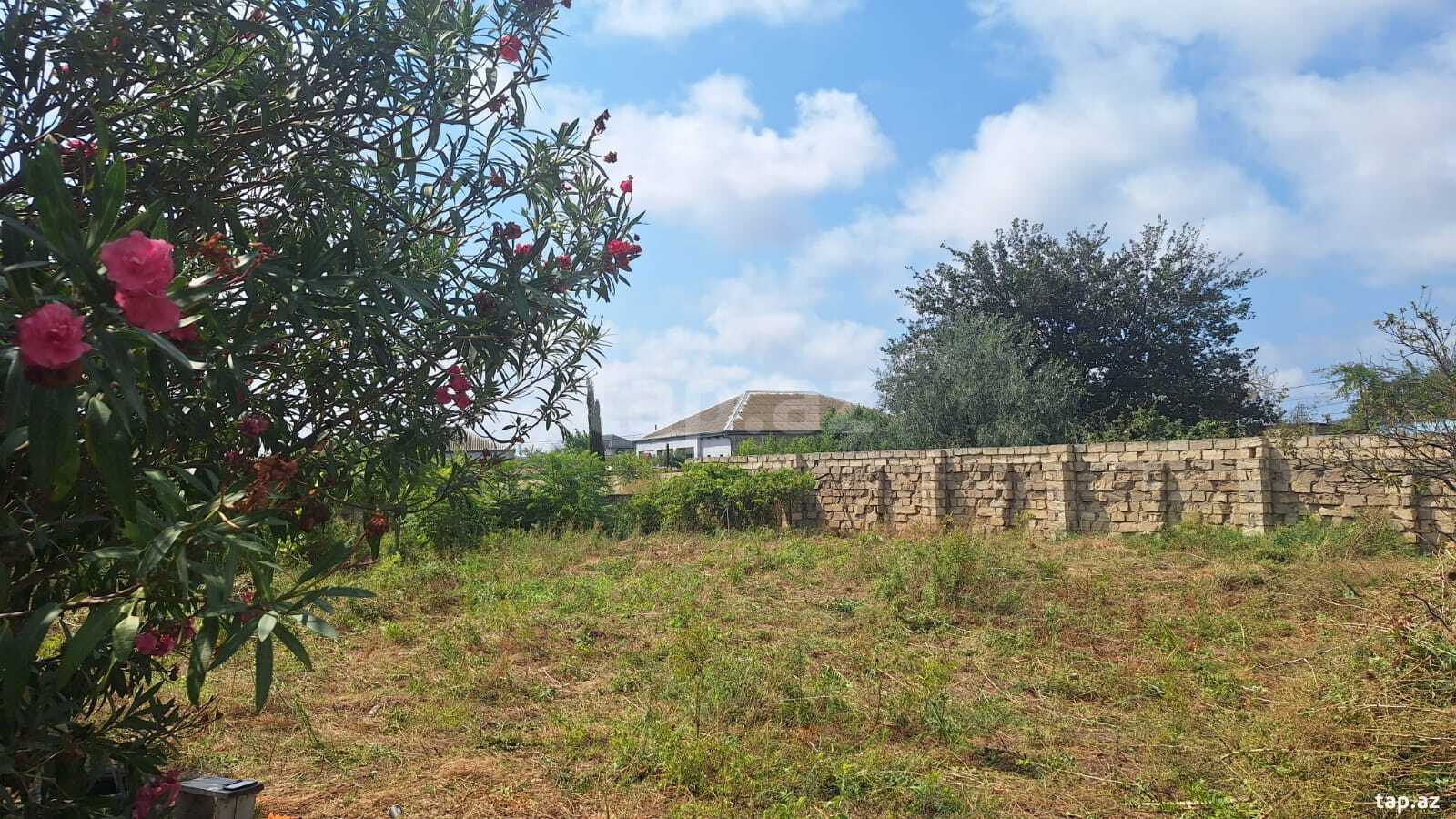 Land for sale, Albalilig, Baku