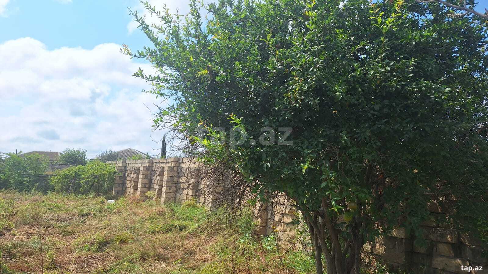 Land for sale, Albalilig, Baku