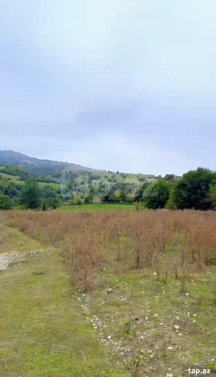 10 sot torpaq sahəsi, Əniq k.