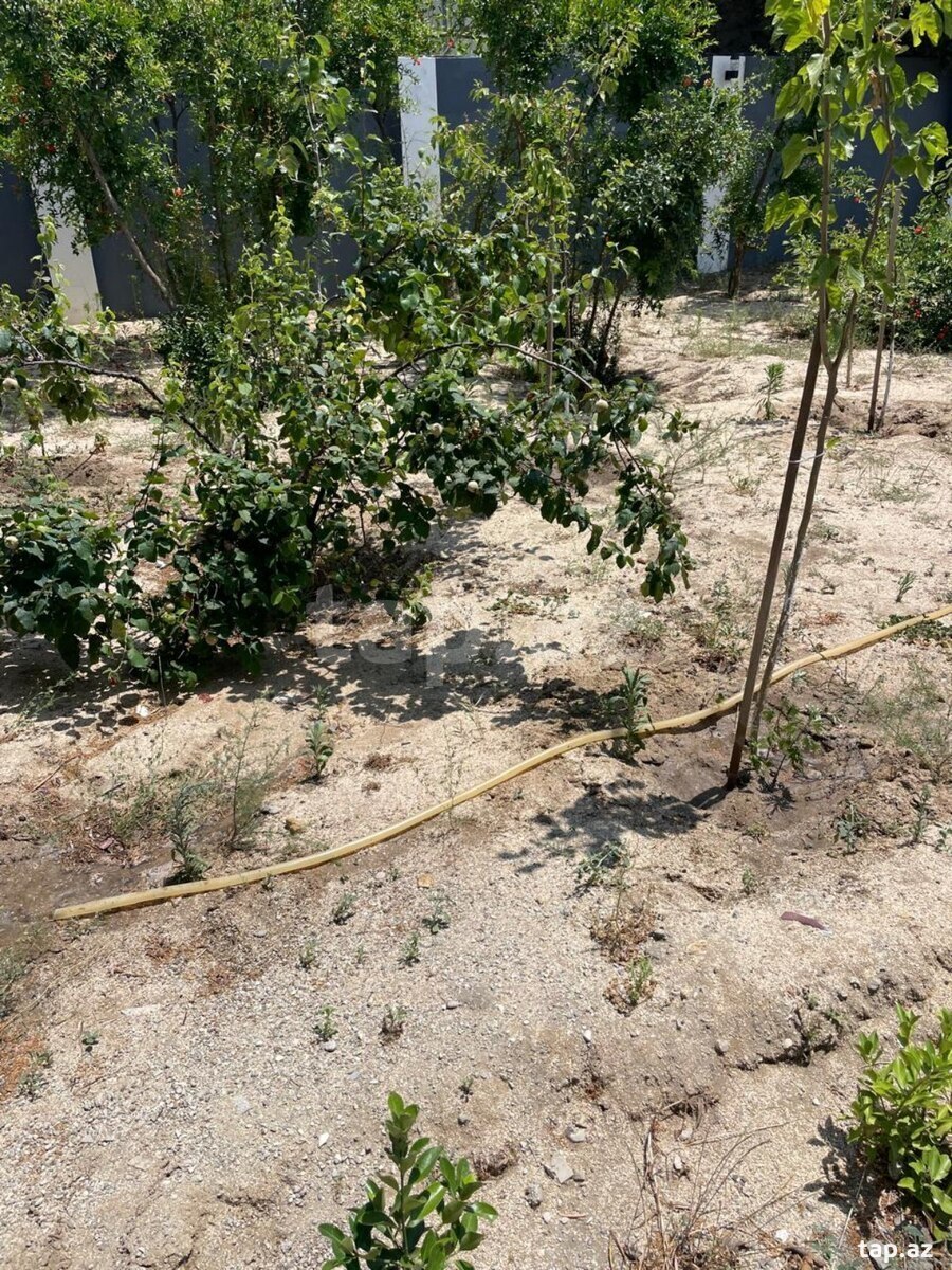 Həyət evi, Sumqayıt ş.