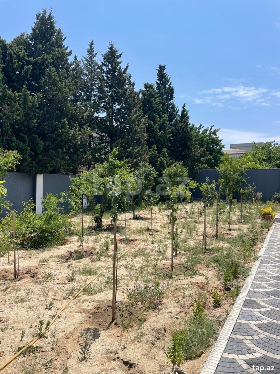 Həyət evi, Sumqayıt ş.