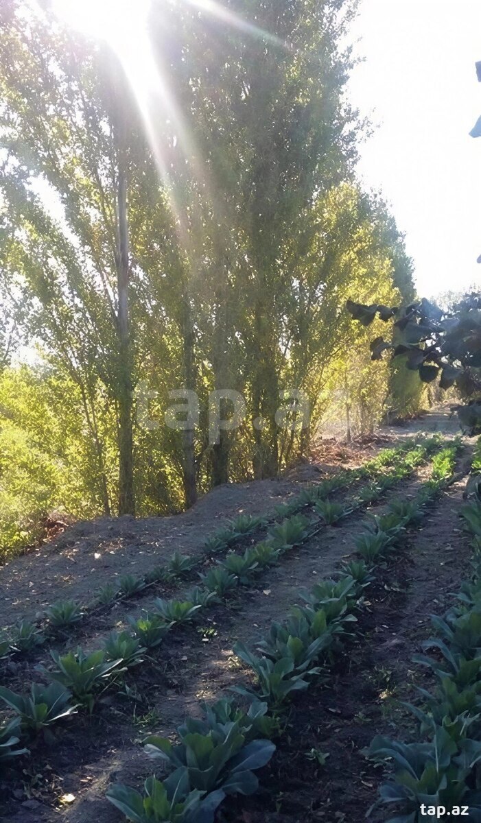 180 sot torpaq sahəsi, Xaçmaz r.