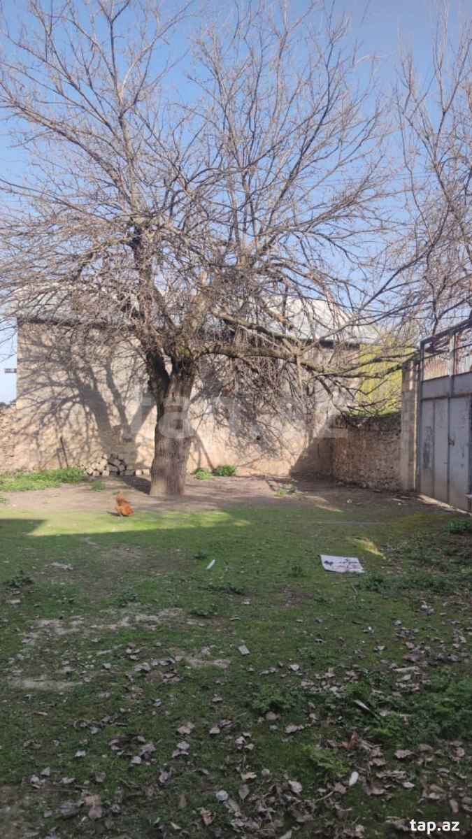 Həyət evi, Göygöl r.
