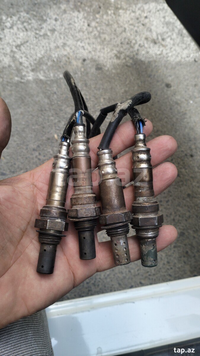 Lexus katalizator sensorları