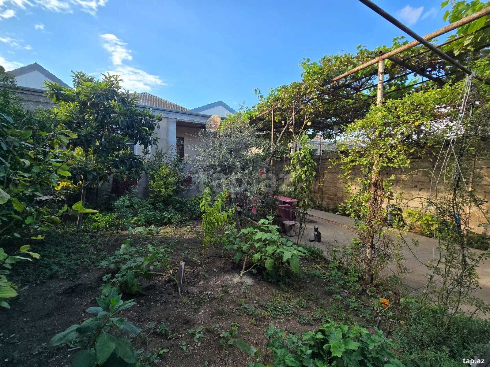 4 otaqlı həyət evi satılır, Binə, Bakı