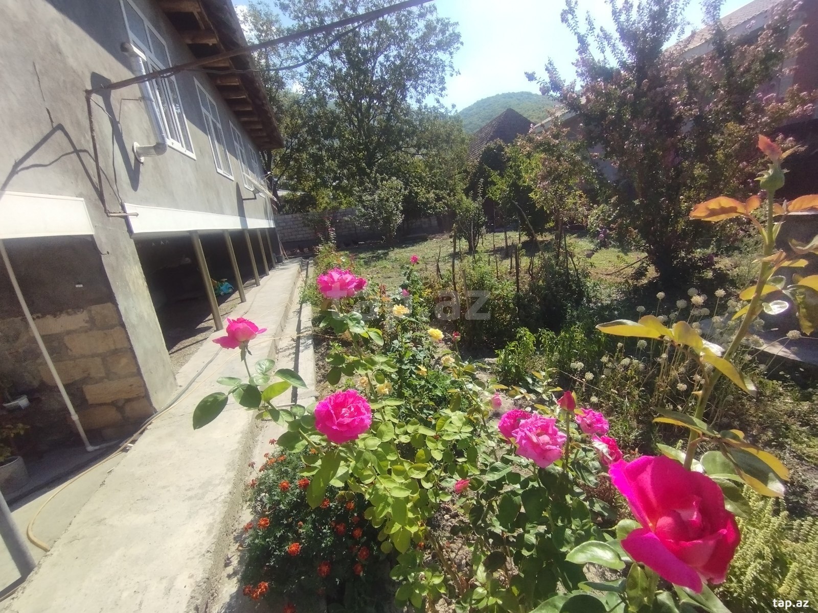 Həyət evi, Şəki r.