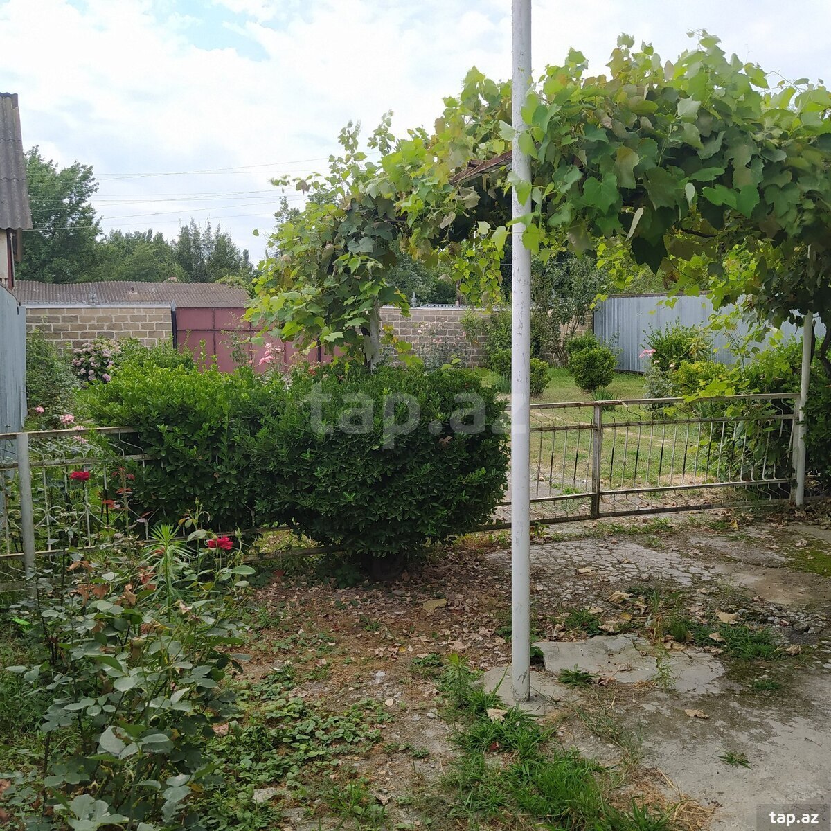 Həyət evi, Balakən r.