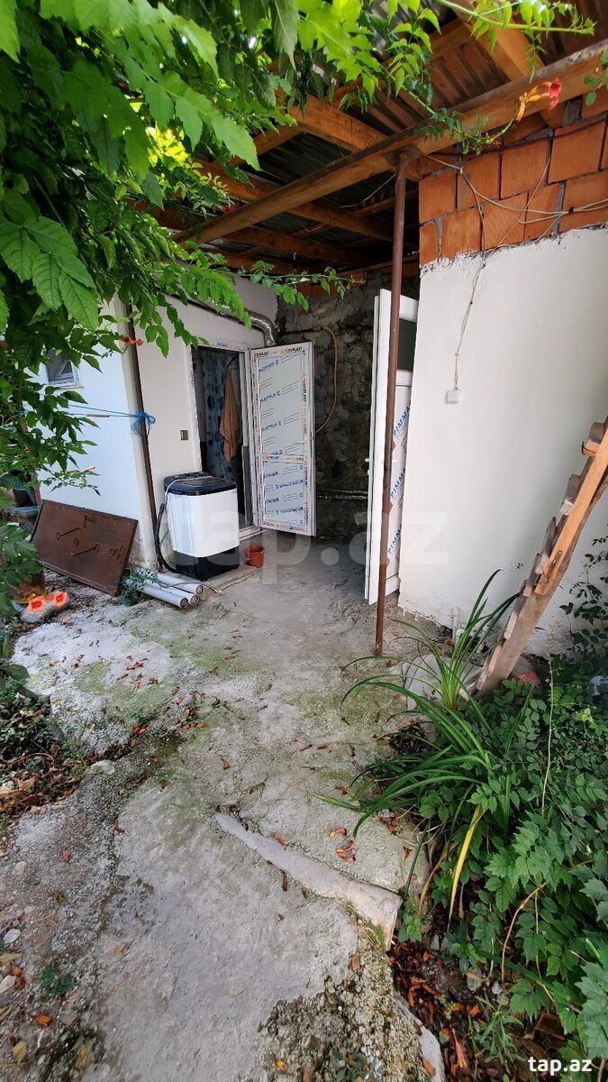 Həyət evi kirayə verilir, Şəki ş.