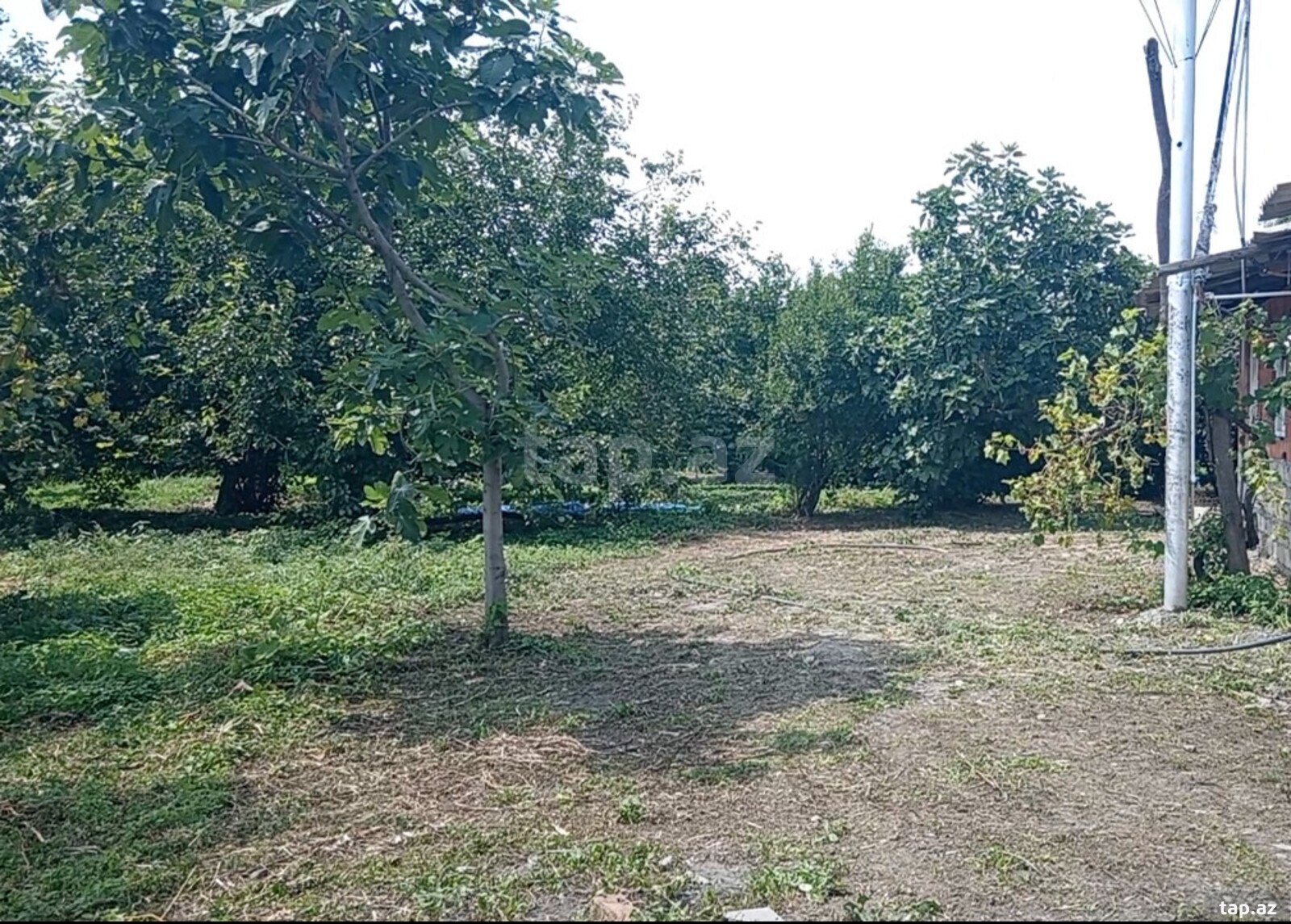180 sot torpaq sahəsi, Zaqatala r.