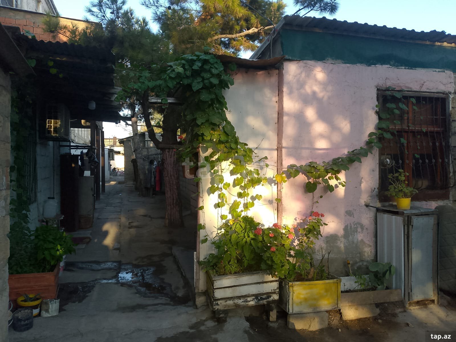 Həyət evi, Sumqayıt ş.