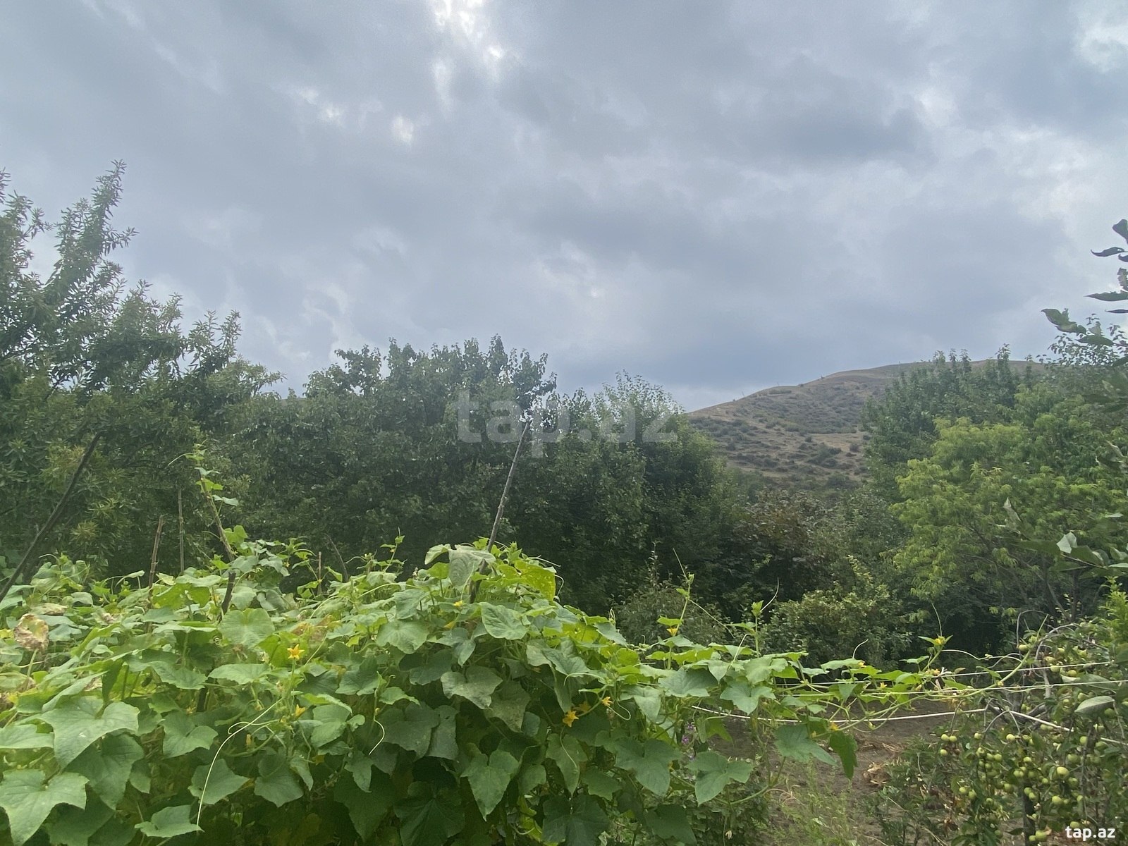 Həyət evi, Göygöl r.