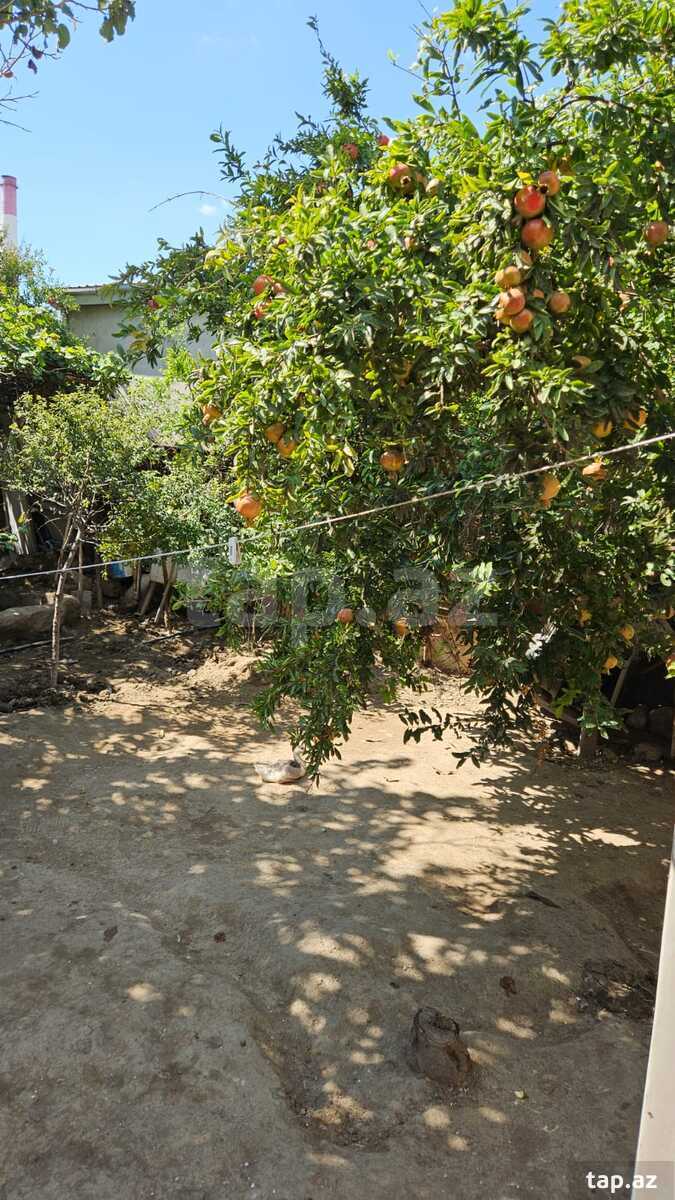 Həyət evi, Sumqayıt ş.