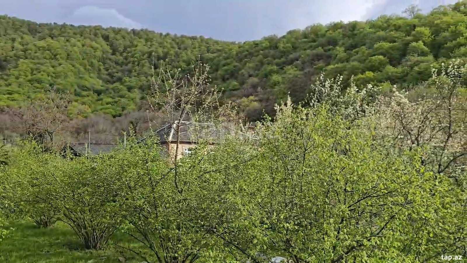 3.8 sot torpaq sahəsi, Zaqatala r.