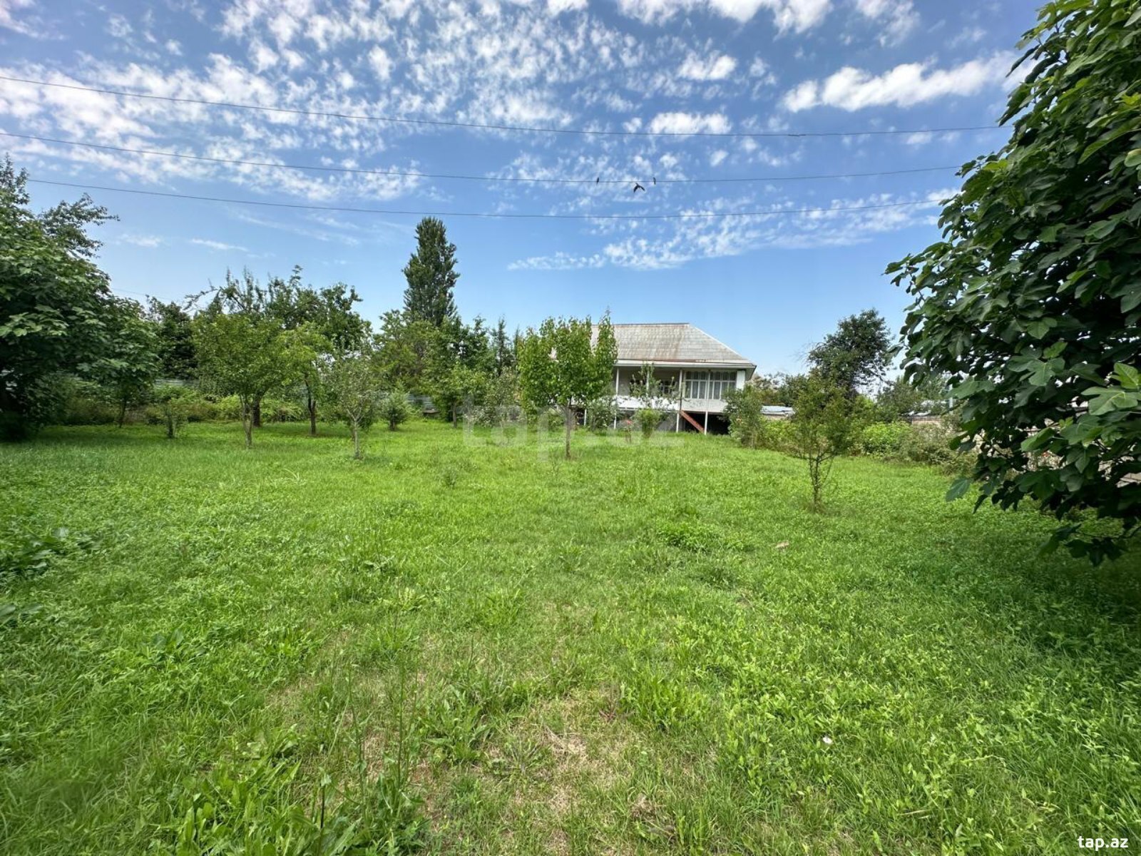 Həyət evi, Oğuz r.