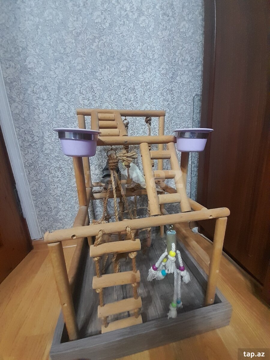 Qəfəs