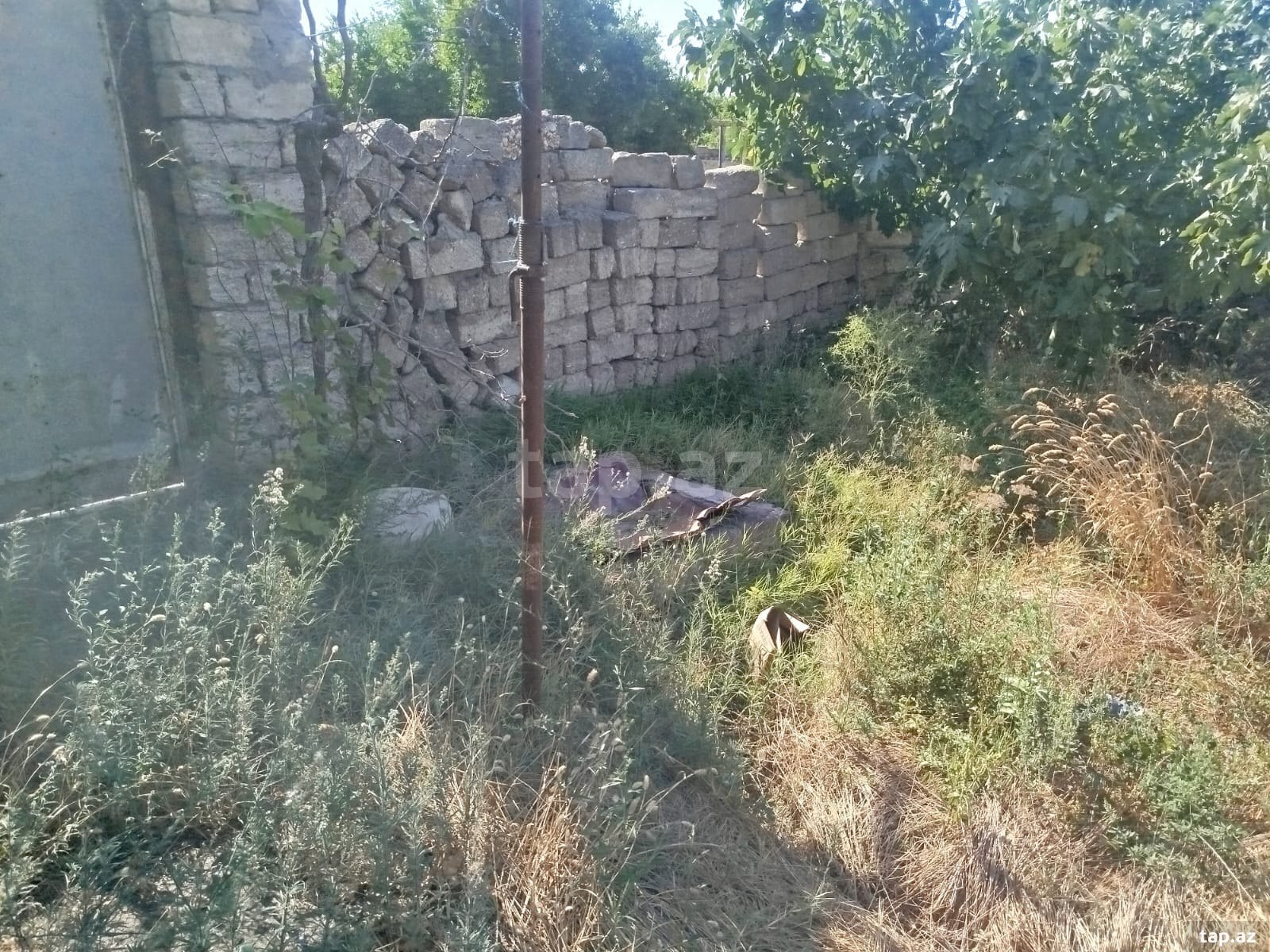 Torpaq satılır, Buzovna, Bakı