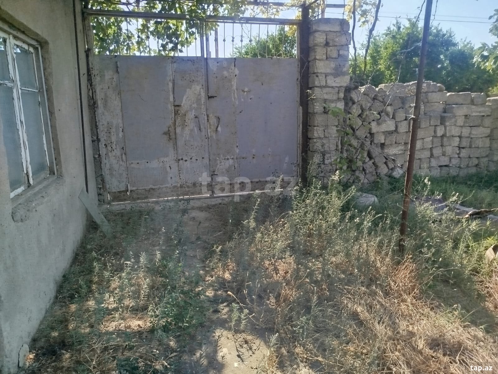 Torpaq satılır, Buzovna, Bakı