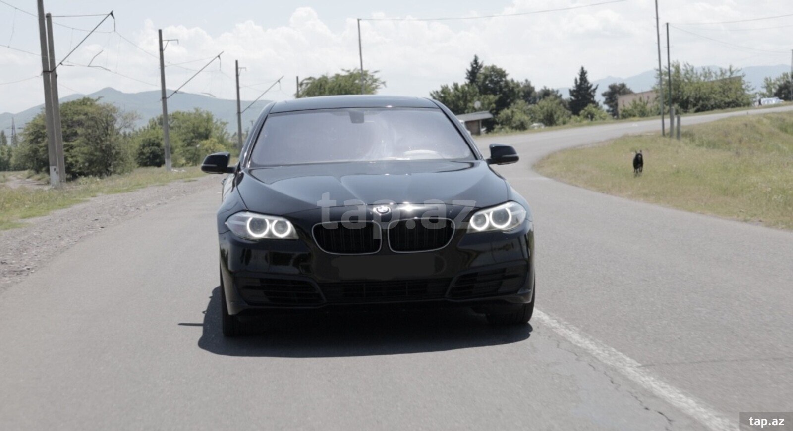 BMW 528, 2014 il