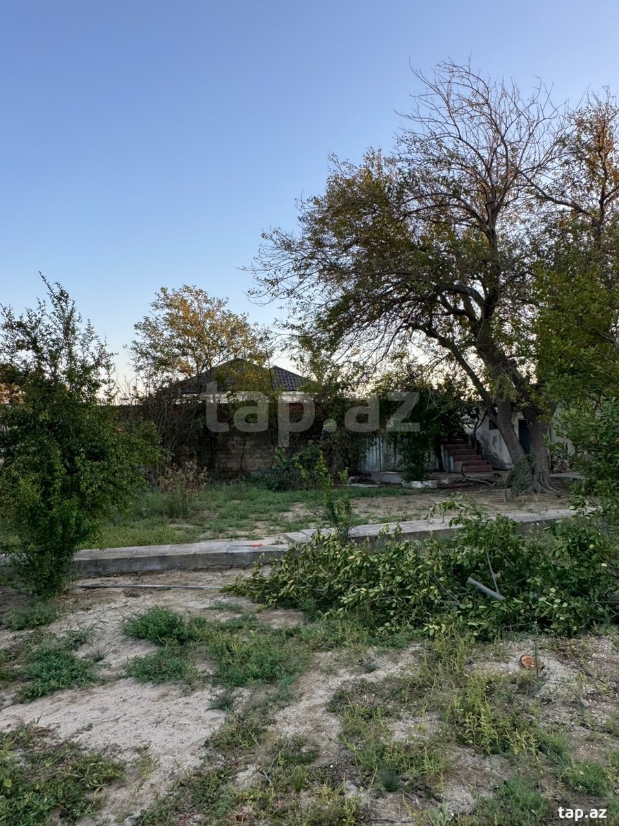Torpaq satılır, Bakı