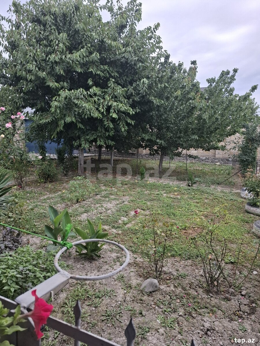 Həyət evi, Şəki ş.