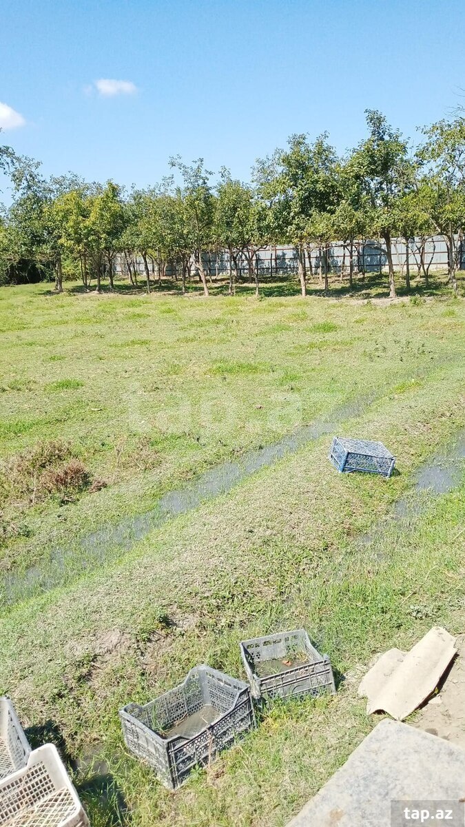 Həyət evi, Ağdaş r.