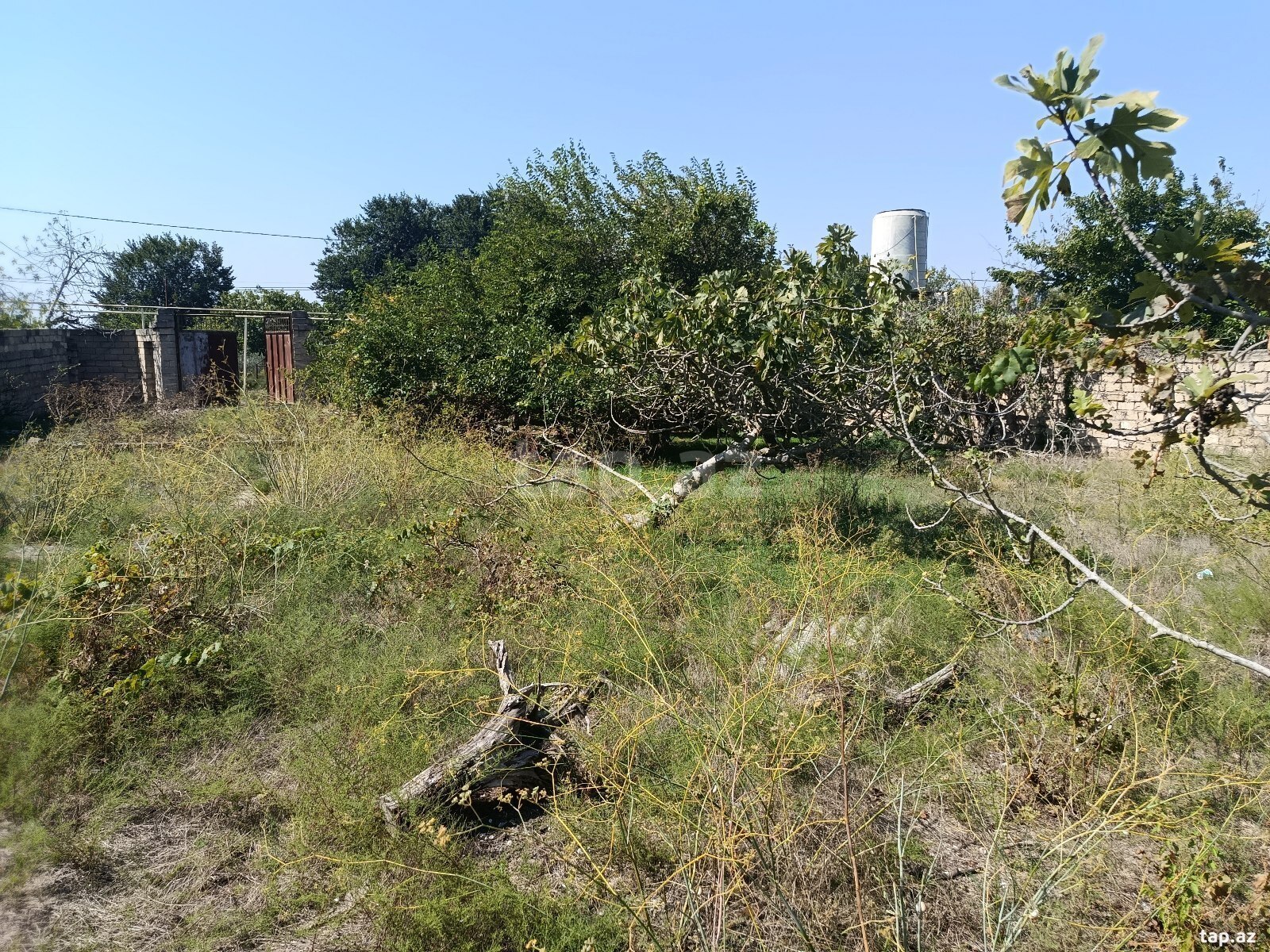 Land for sale, Nardaran, Baku
