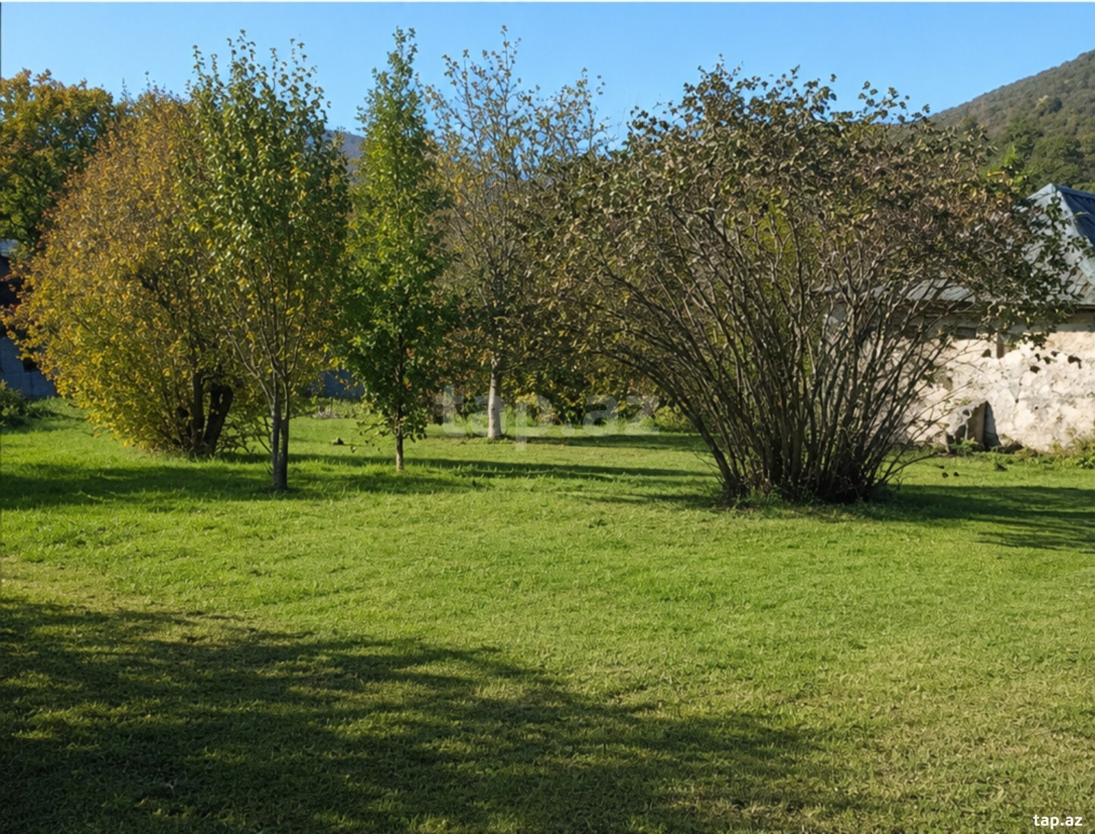 Həyət evi, Şəki ş.