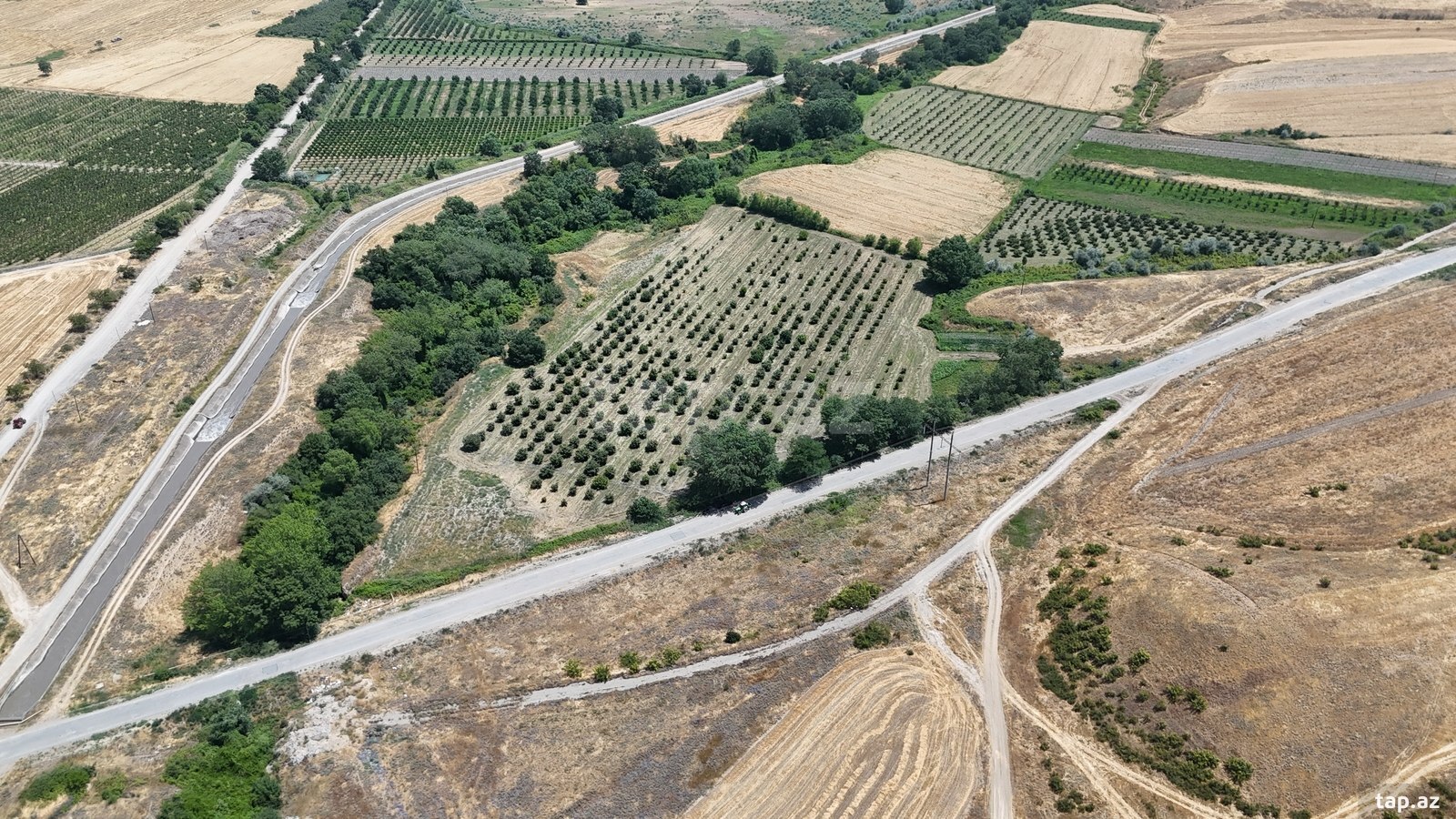 600 sot torpaq sahəsi, Qusar r.