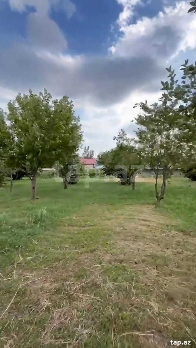 Həyət evi, Şəki r.