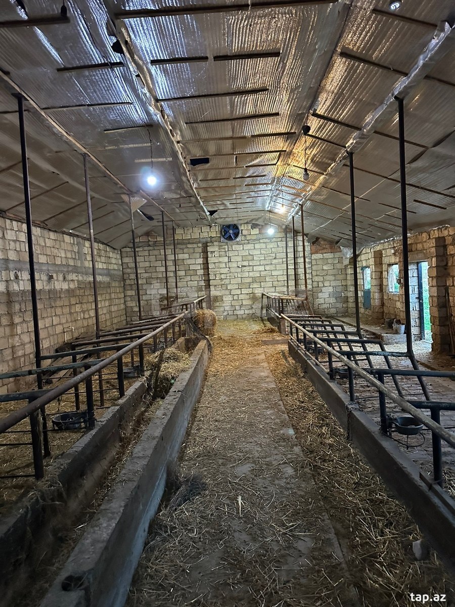 24 sot torpaq sahəsi, Oğuz r.