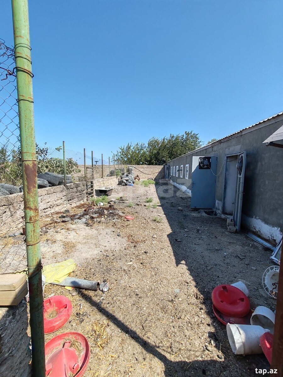 2 otaqlı həyət evi satılır, Binə, Bakı