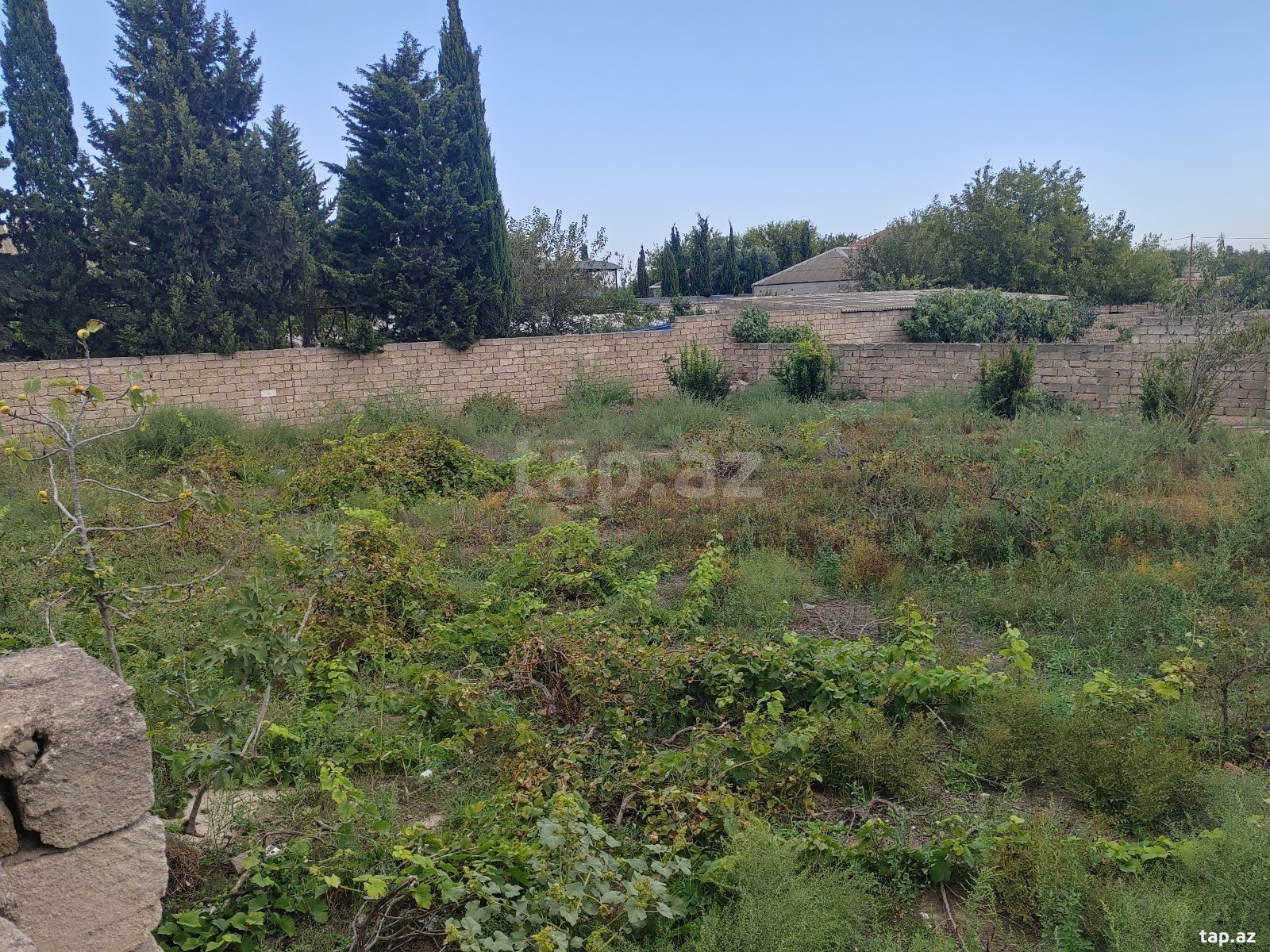 8 sot torpaq sahəsi, Sabunçu r.