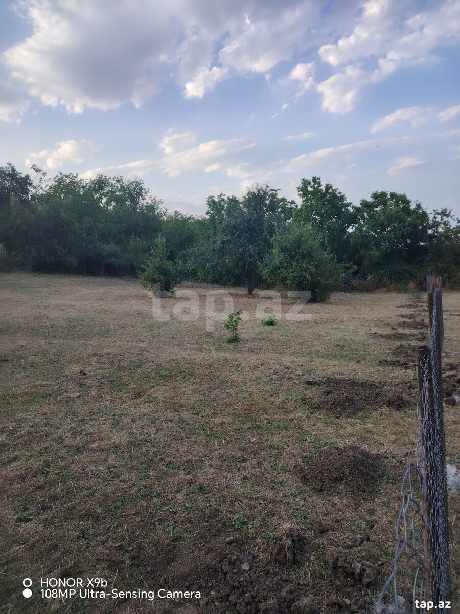 12 sot torpaq sahəsi, Zeyvə kəndi