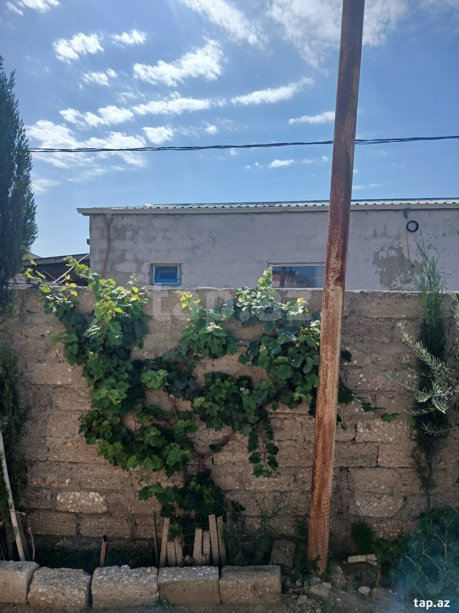 Həyət evi, Binə qəs.