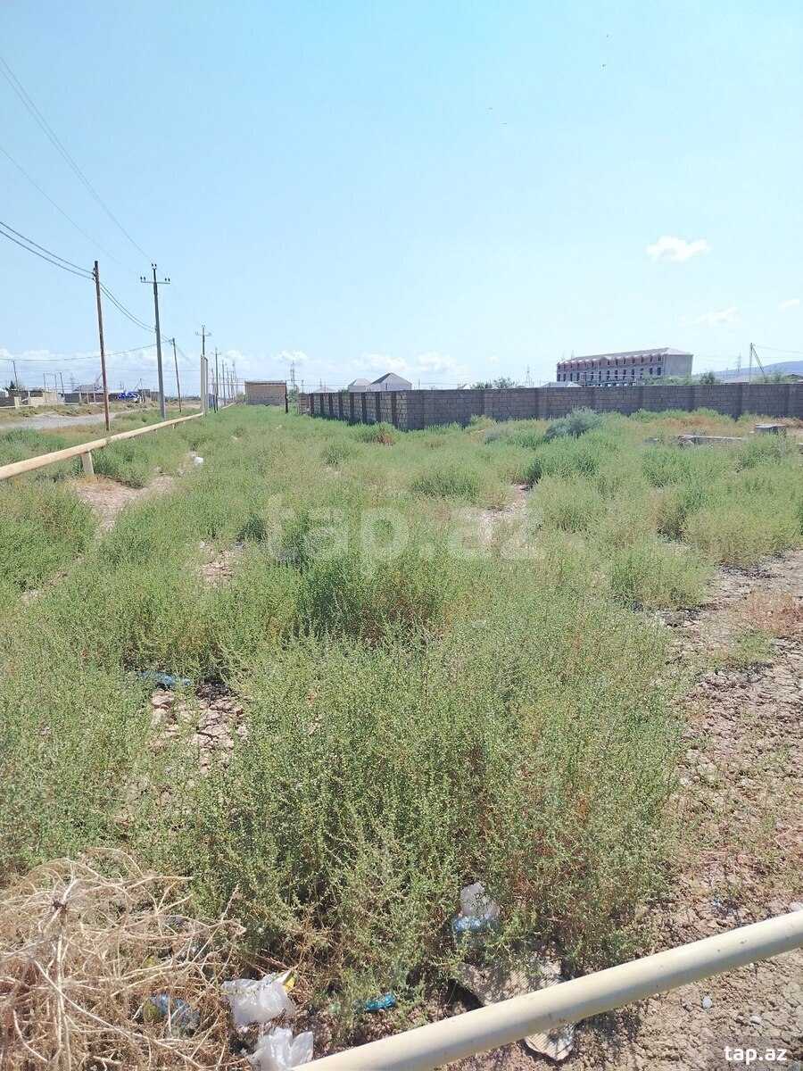 Torpaq satılır, Sumqayıt