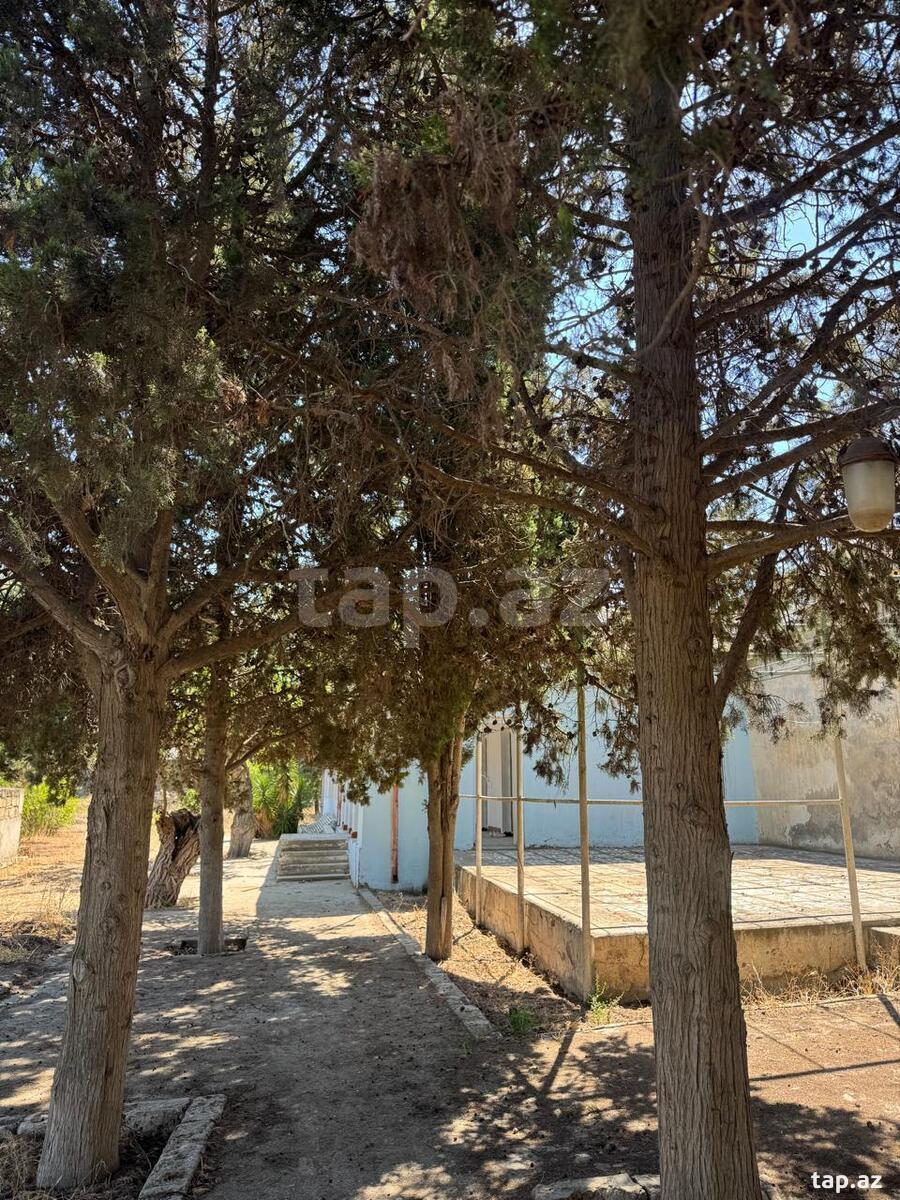 3-room country house for rent, Shuvalan, Baku