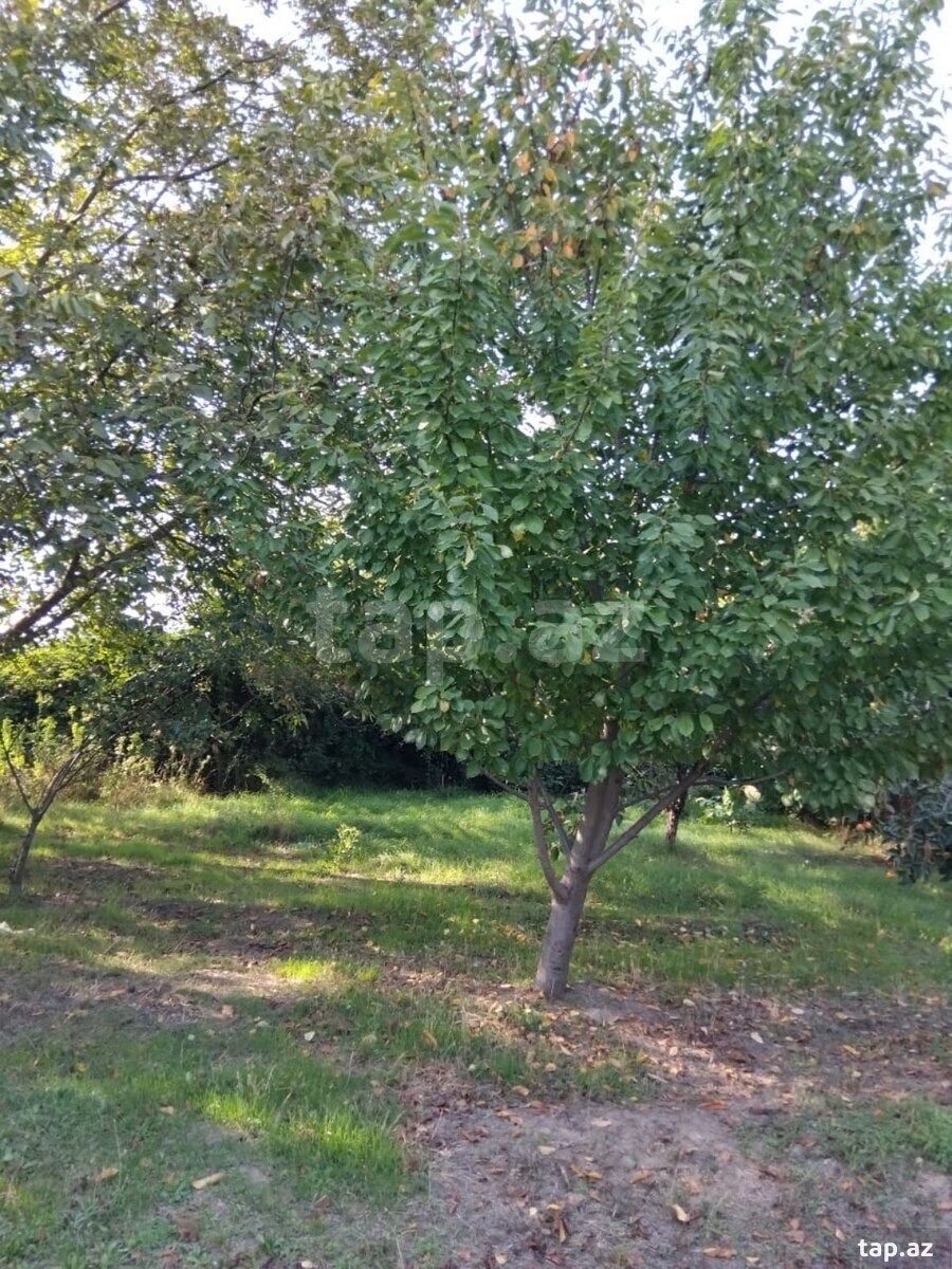 400 sot torpaq sahəsi, Samux r.